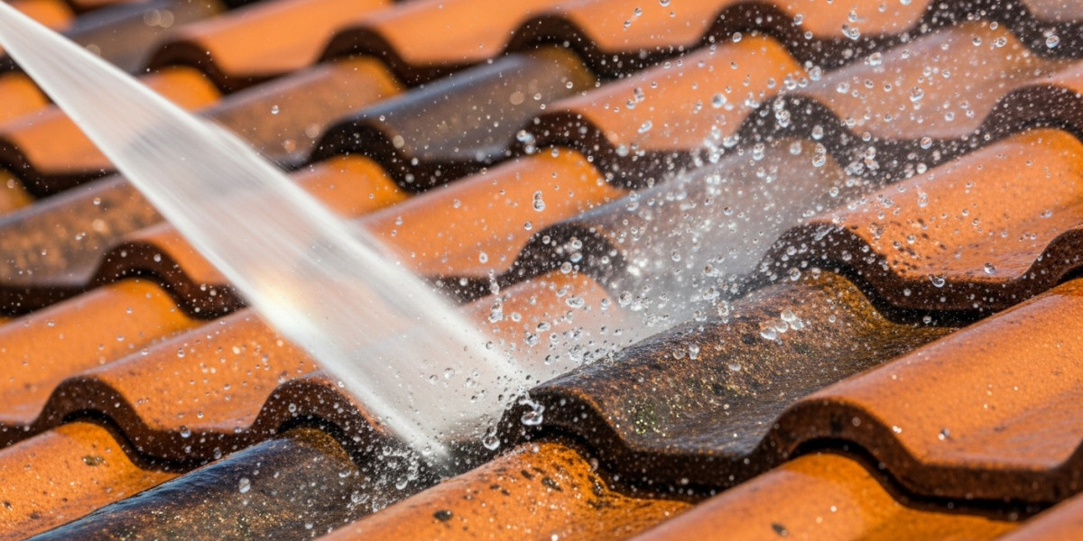 Is Roof Cleaning Near Me Worth It? A Complete Guide for Homeowners